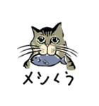 ちょびそら（個別スタンプ：6）