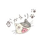 手描きネコ«日常生活編»（個別スタンプ：5）