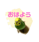yuzuのお話1（個別スタンプ：1）