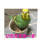 yuzuのお話1（個別スタンプ：2）