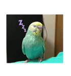 yuzuのお話1（個別スタンプ：3）