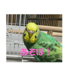 yuzuのお話1（個別スタンプ：6）