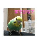 yuzuのお話1（個別スタンプ：7）