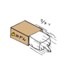 はこネコ。（個別スタンプ：31）