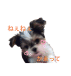 もも821（個別スタンプ：1）