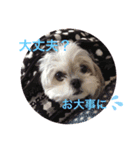 もも821（個別スタンプ：3）