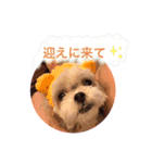 もも821（個別スタンプ：6）