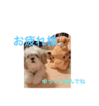 もも821（個別スタンプ：7）