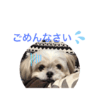 もも821（個別スタンプ：11）