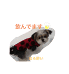 もも821（個別スタンプ：12）