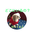 もも821（個別スタンプ：15）