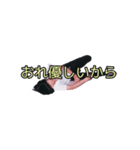 はにゅうたく1（個別スタンプ：6）