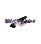 はにゅうたく1（個別スタンプ：11）