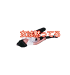はにゅうたく1（個別スタンプ：13）