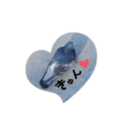 ハト命（個別スタンプ：1）