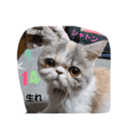 プリティエキゾ（個別スタンプ：2）