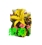感謝の印（個別スタンプ：9）