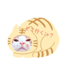 猫のおうち生活（個別スタンプ：3）