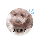 うちのおみくん2（個別スタンプ：11）