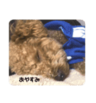 うちのおみくん2（個別スタンプ：15）