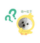 りたちゃんスタンプ使ってね^_^（個別スタンプ：2）