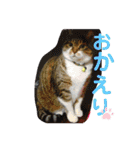ちょももも（個別スタンプ：3）