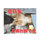 ちょももも（個別スタンプ：5）