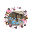 ちょももも（個別スタンプ：7）