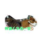 ちょももも（個別スタンプ：13）