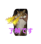 ちょももも（個別スタンプ：14）