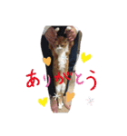 ちょももも（個別スタンプ：15）