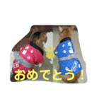ちょももも（個別スタンプ：18）