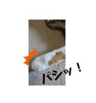 ちょももも（個別スタンプ：22）