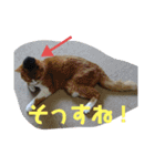 ちょももも（個別スタンプ：24）