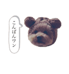 うちのおみ3（個別スタンプ：3）