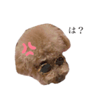 うちのおみ3（個別スタンプ：4）