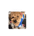 うちのおみ3（個別スタンプ：8）