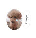 うちのおみ3（個別スタンプ：11）