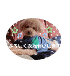 うちのおみ3（個別スタンプ：13）