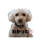 きなくる2（個別スタンプ：1）