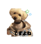 きなくる2（個別スタンプ：4）