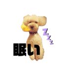 きなくる2（個別スタンプ：6）