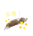 ハッピービーグル2 (特別版)（個別スタンプ：4）