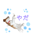 ハッピービーグル2 (特別版)（個別スタンプ：12）