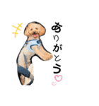 そらと璃空(1)（個別スタンプ：2）