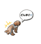 そらと璃空(1)（個別スタンプ：10）