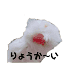 スコニャのいちにち（個別スタンプ：27）