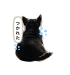 クレアとリリー（個別スタンプ：10）