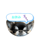 クレアとリリー（個別スタンプ：13）