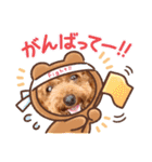 Toy Poodle MoMo Happy Days♪（個別スタンプ：3）